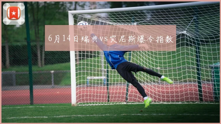 6月14日瑞典vs突尼斯爆冷指数