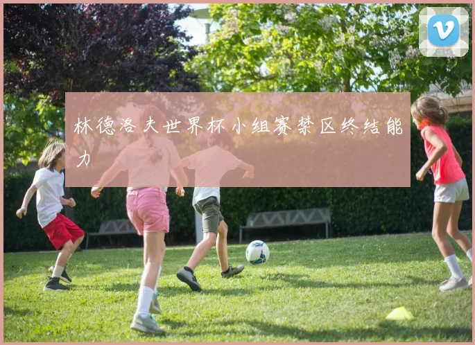 林德洛夫世界杯小组赛禁区终结能力