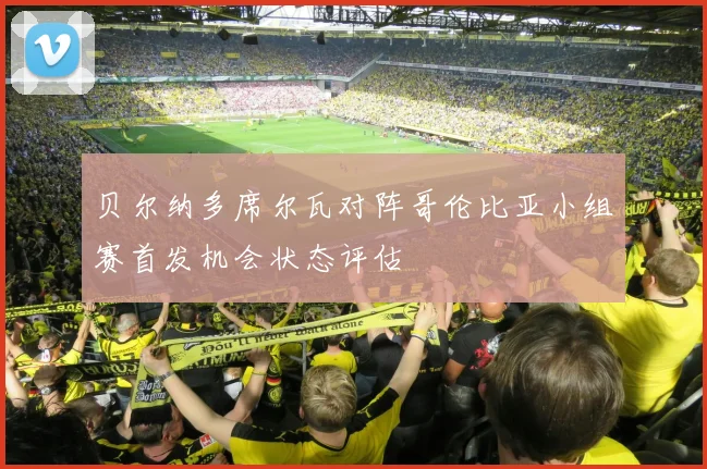 贝尔纳多席尔瓦对阵哥伦比亚小组赛首发机会状态评估