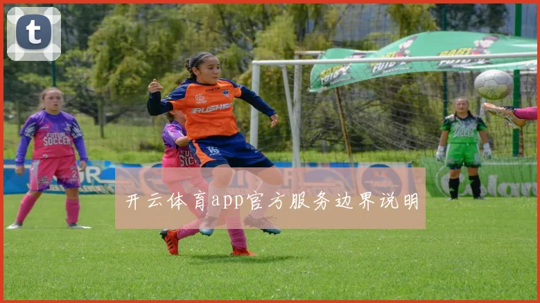开云体育app官方服务边界说明